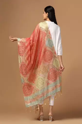 Digital Ethnic Motif Print Chanderi Cotton Zari Embroadery Work Regular Dupatta Wear on Kurti For Women and Girls