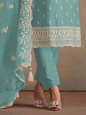 Sky blue embroidered sequins resham zari work organza salwar kameez 3