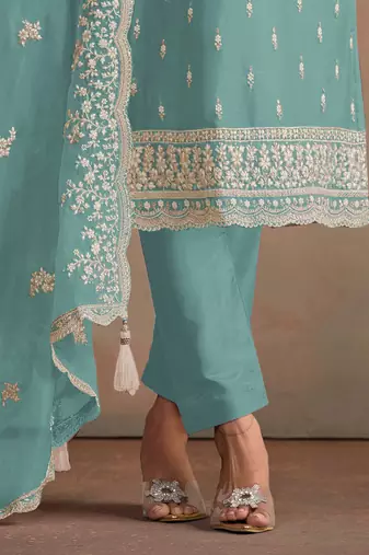 Sky blue embroidered sequins resham zari work organza salwar kameez
