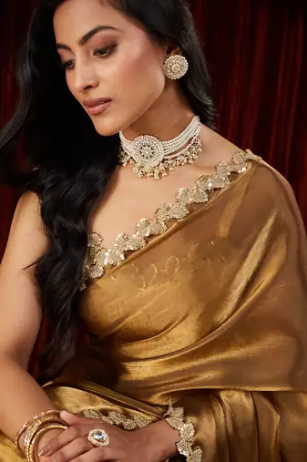 Organza gold sequinned embellished saree