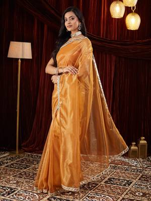 Organza gold mirror work embellished saree 3