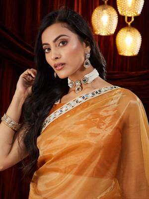 Organza gold mirror work embellished saree 5