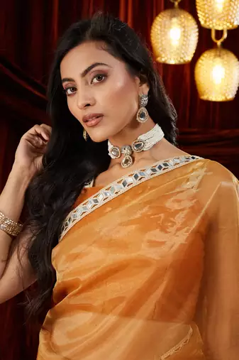 Organza gold mirror work embellished saree