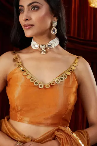 Organza gold embellished saree