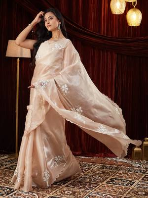 Organza cream embroidered saree 1