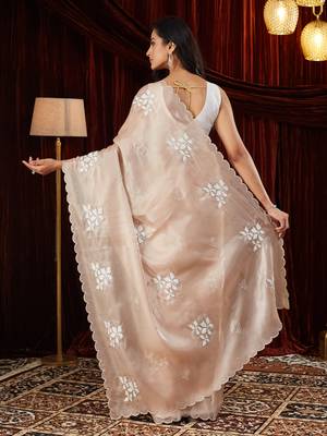 Organza cream embroidered saree 2