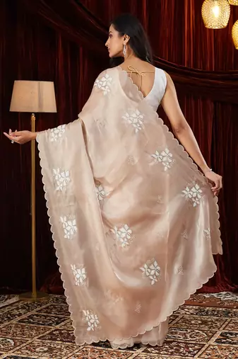 Organza cream embroidered saree