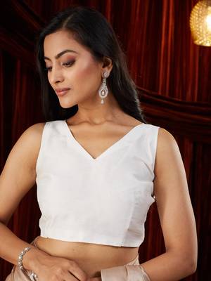 Organza cream embroidered saree 4