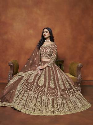Brown Embroidered Zari Sequins Coading Net Lehenga 2