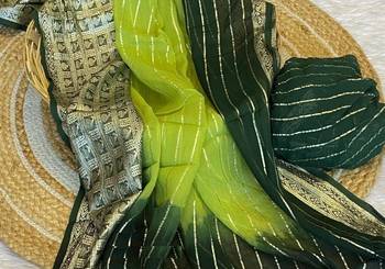 Green 2D Shaded Viscose Georgette Saree 2
