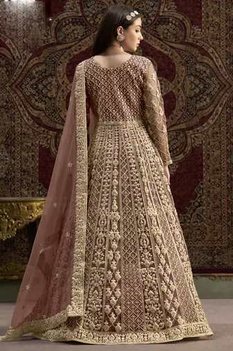 Light brown net embroidered anarkali suit