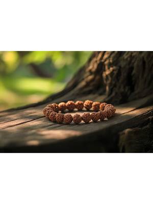 5 mukhi rudraksha stretchable bracelet 1