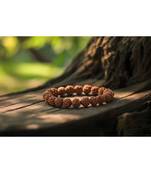 5 mukhi rudraksha stretchable bracelet