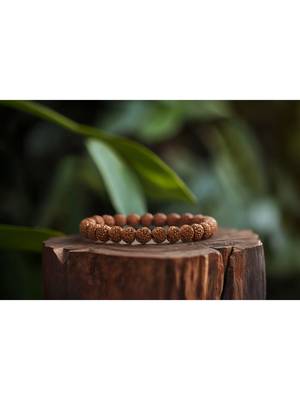 5 mukhi rudraksha stretchable bracelet 2