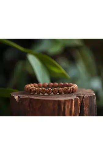 5 mukhi rudraksha stretchable bracelet