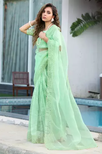 green embroidery sequin border work organza saree