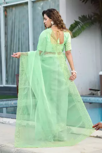 green embroidery sequin border work organza saree