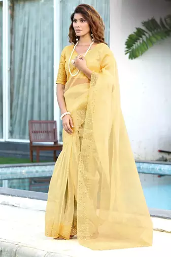 yellow embroidery sequin border work organza saree