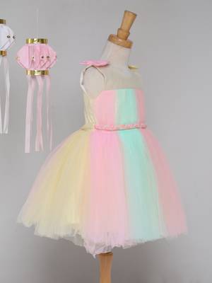 Multicolor net knee length Sleeveless frock for kids 3