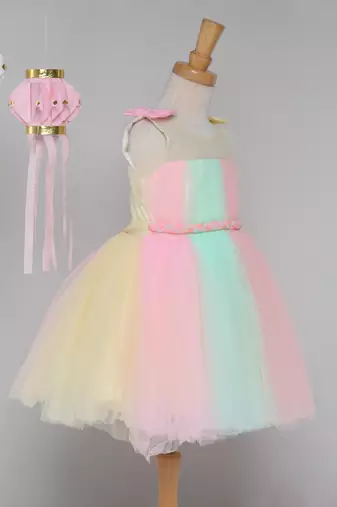 Multicolor net knee length Sleeveless frock for kids