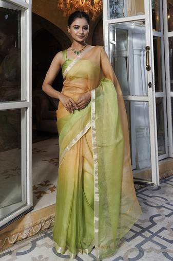 Colourblocked saree