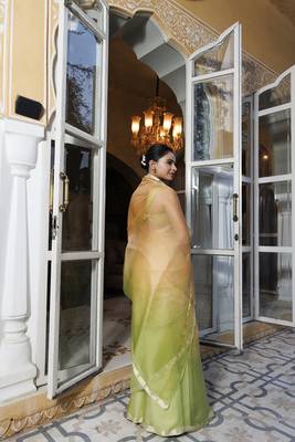 Colour blocked saree 2