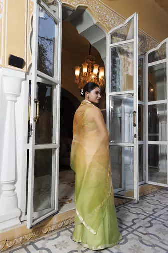 Colour blocked saree
