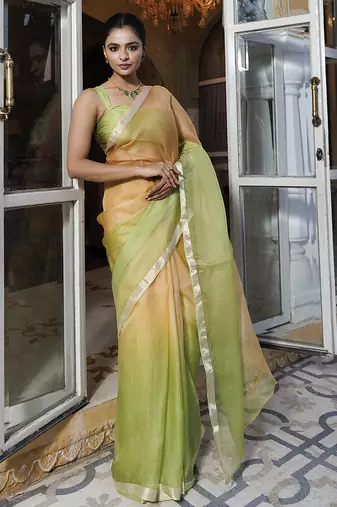Colour blocked saree