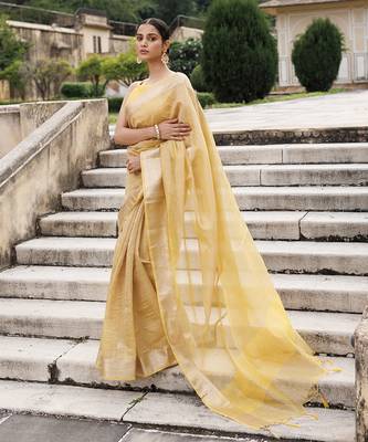 Zari tissue banarasi saree 2