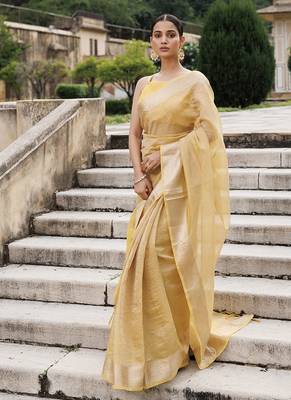 Zari tissue banarasi saree 5