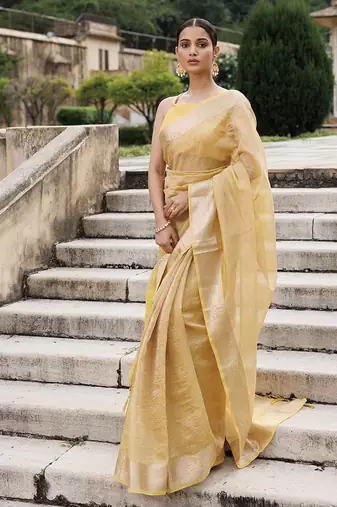 Zari tissue banarasi saree