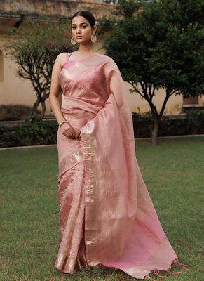 Embellished zari banarasi tissue saree 2