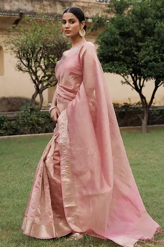 Embellished zari banarasi tissue saree
