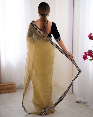 Beige twill net saree 2