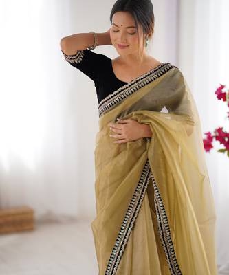 Beige twill net saree 3