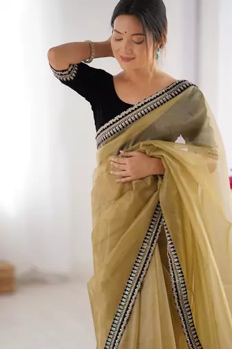 Beige twill net saree