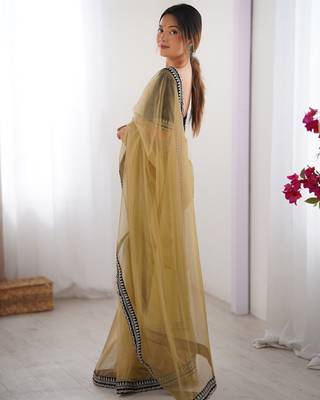 Beige twill net saree 4