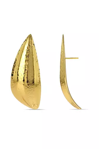 Gold finished palm earrings