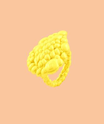 Gold finished sacred ripple ring 2