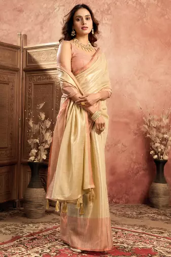 Chiku tissue silk saree with weave border and blouse