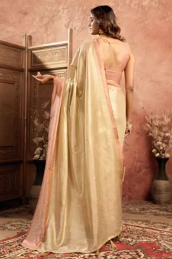 Chiku tissue silk saree with weave border and blouse