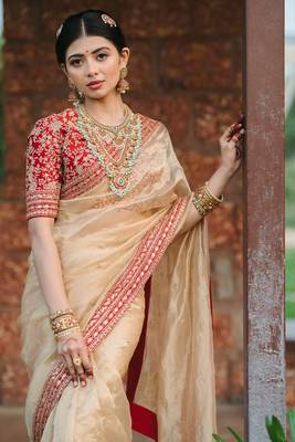 Light Beige embroidered Organza Silk Saree 1