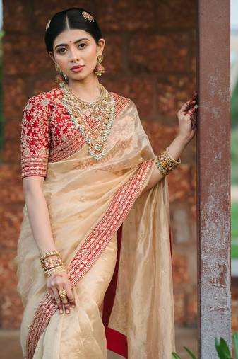 Light Beige embroidered Organza Silk Saree