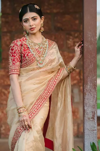 Light Beige embroidered Organza Silk Saree