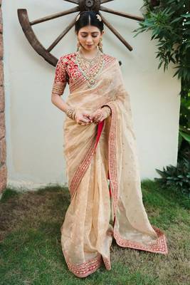 Light Beige embroidered Organza Silk Saree 2