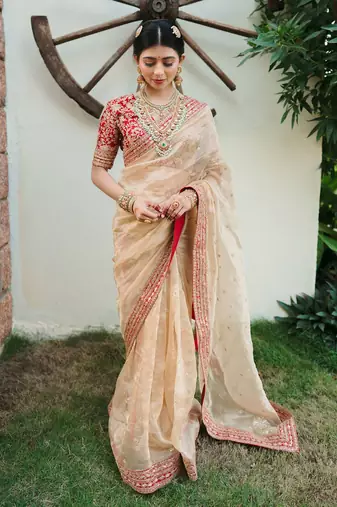Light Beige embroidered Organza Silk Saree