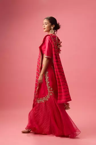 Pink Organza Plain Lehenga With Embroidered Blouse