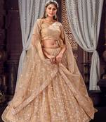 Beige Embroidered Stone Work Net Lehenga choli