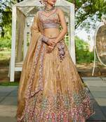 Beige Tissue sequin embroidery Semi Stitched Lehenga choli with Dupatta