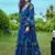 Blue printed chinon gown